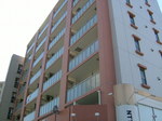 NC1003-11-0002.jpg