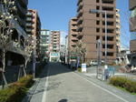 e725.jpg